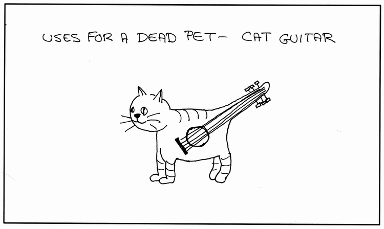 Cat Guitar Hero