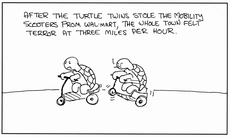 Turtle Twins Terror